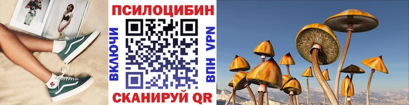 Галлюциногенные грибы Psilocybine cubensis  Красавино 